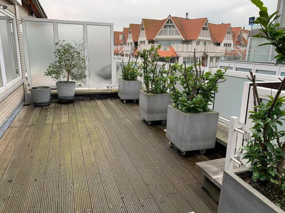 Zoute Penthouse Lägenhet Knokke-Heist Exteriör bild